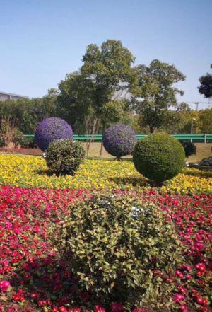 花海景观工程设计施工.jpg