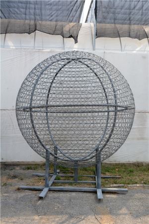 新版星空娱乐