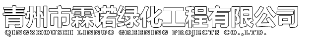 下载星空娱乐平台软件